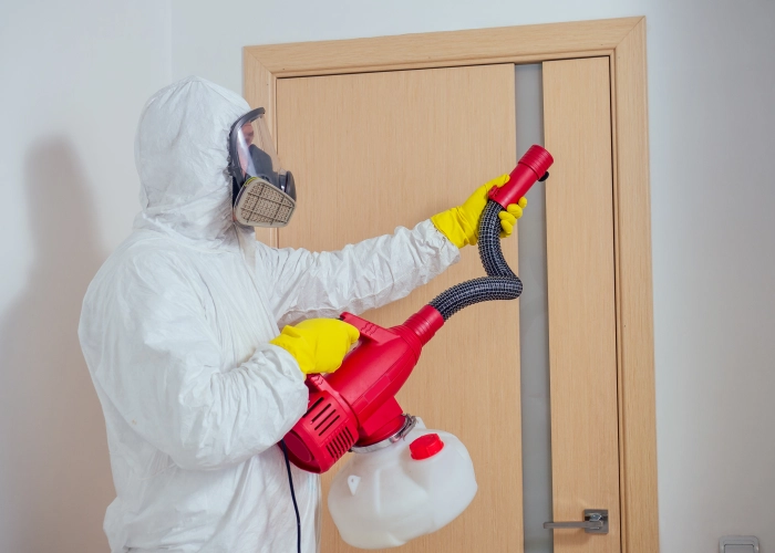 Traitement chimique punaise de lit Parnes – Certifié et garanti 60240 Oise