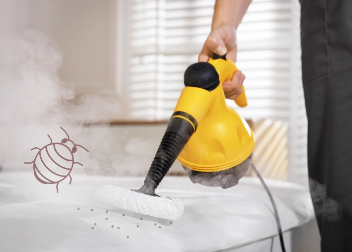 Traitement chimique punaise de lit Lévignen – Certifié et garanti 60800 Oise